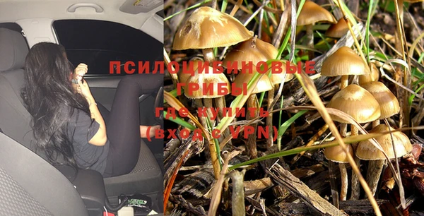 герыч Надым