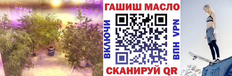 продажа наркотиков  Козельск  ТГК жижа 